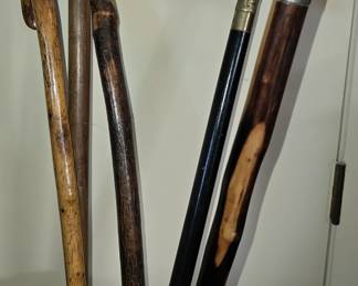 ANTIQUE CANE COLLECTION