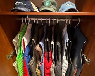 Men's vests - North Face