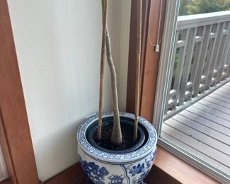 Planter