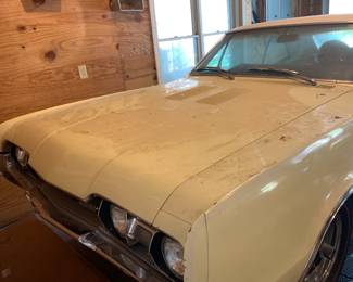#207 1967 Oldsmobile 442 Mileage - 21,600 - In Great Condition - Garage Kept - Running Condition Unknown since no key. Make a bid to be awarded Friday October 24 at NOON to the highest bidder that meets the reserve.