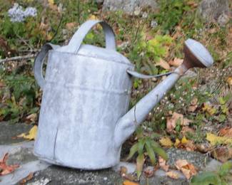 Galvanized watering can collection
