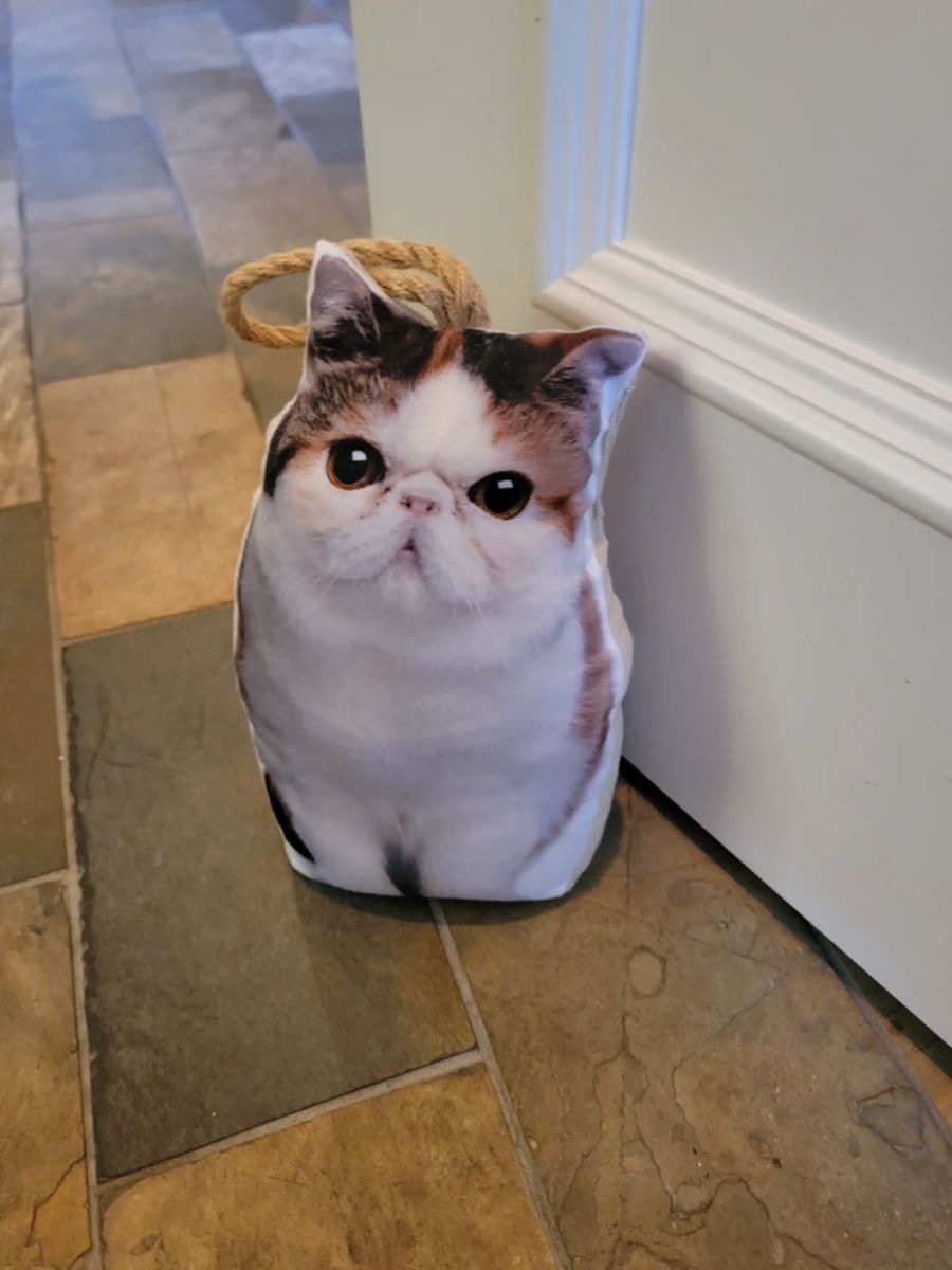 The most unagreeable door stopper...I just had to put this picture first!