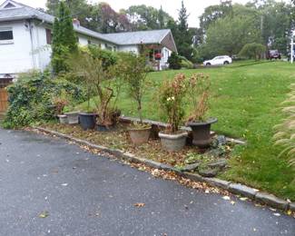 Planters