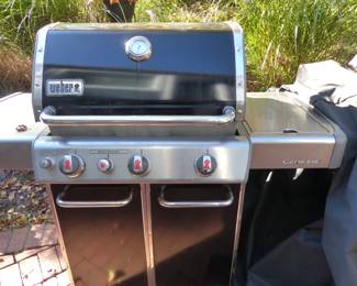 Weber bbq