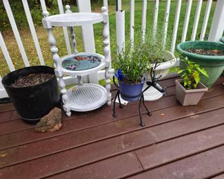 Many planters and plants