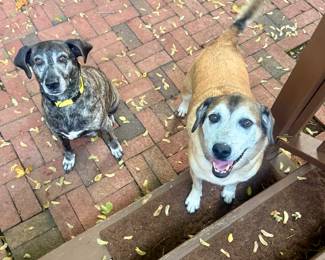 Our first customers!!!