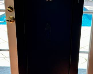 10 Gun Safe