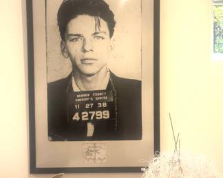 Poster of Young Sinatra