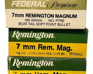 007mm Remington Magnum Ammo 