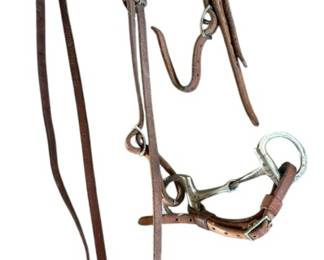 Leather Bridle and Extra Piece of Leather 