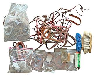 Assorted Leather and Horse Leads 