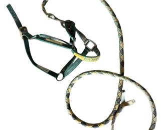 Halter and Lead Rope 