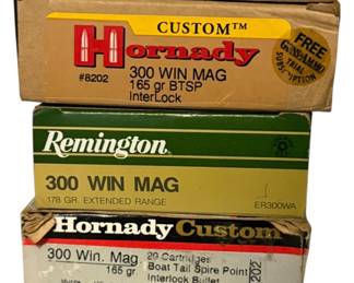 Winchester 300 Magnum Ammo 