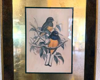 Series of gold-framed bird prints