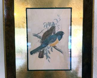 Series of gold-framed bird prints
