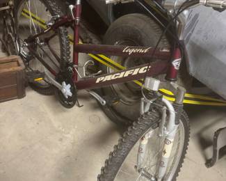 Pacific bike
