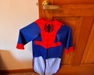 Spider-Man costume