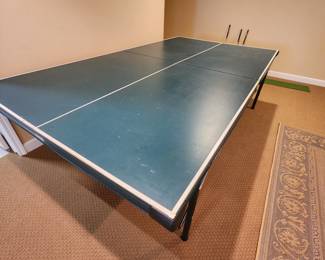 Ping Pong Table