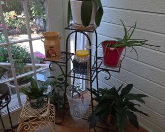 More plants!