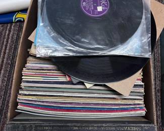 256 VinylsBohemiasMeadowsForestsVictrolaRecordsandWWIILove