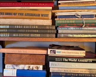 206 OldBooksAHugeVarietyTakeaCloseLook