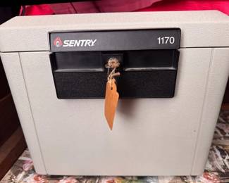 Sentry fire safe
