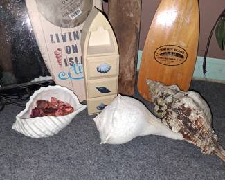 Shells and beachy items