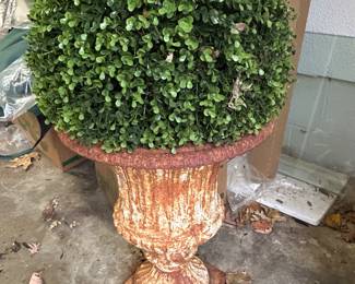 Cast iron urn with Ballard boxwood ball