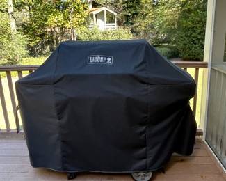 Weber grill
