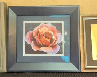 3 Flower Paintings