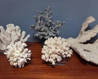 5pc Coral