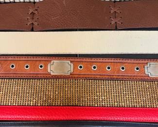 Unique Leather Belts 2 Coach