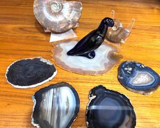 Baccarat Parrot, Geodes Sea Shells