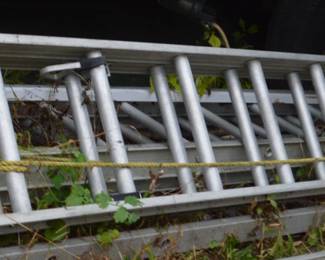 Double rung aluminum ext ladder