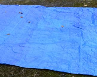 tarp