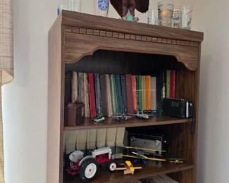 Bookcase filled with more collectibles