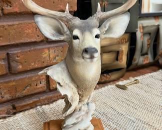 limited edition sculpture of a mule deer by artist Joe Slockbower. “Crowning Glory" (three-quarter life-size representation)