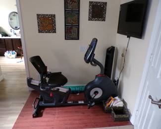 Schwinn Recumbent Stationary Bike