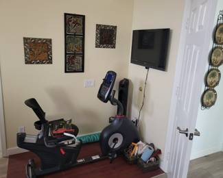 Schwinn 230 Recumbent Stationary Bike.