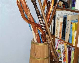 Canes and Walking Sticks