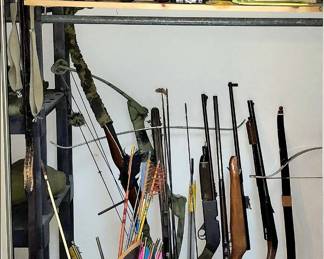 Pellet Guns and Archery Supplies