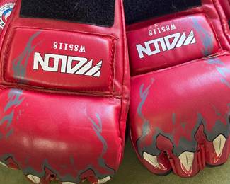 Wolon MMA Gloves