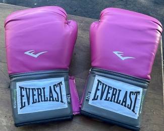Everlast ProStyle Training/Boxing Gloves
