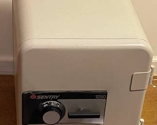 Sentry Safe