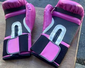 Everlast ProStyle Training/Boxing Gloves