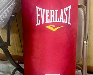 Everlast MMA Punching Bag