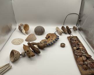 Lot #54 Natural Sea Shell Collection with Driftwood Seahorse Wall Hanging and Mixed Shell Plaque
