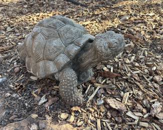 Turtle