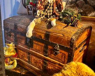 Many Trunks
Humpback & Flat Top