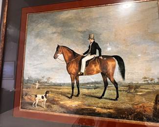 Several Horse Pics / different scenes